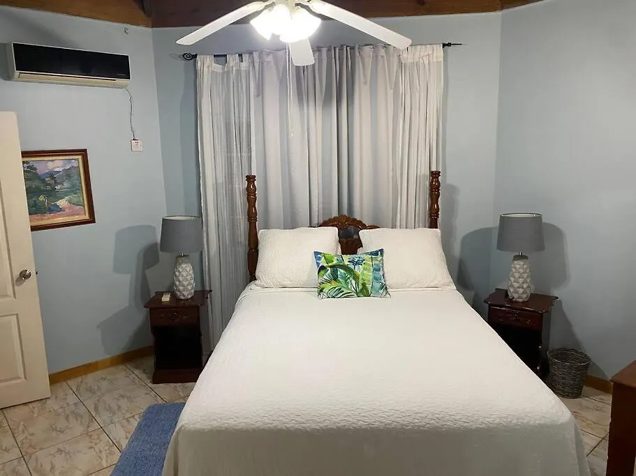 Magic Moments Ja Villa Black River Jamaica